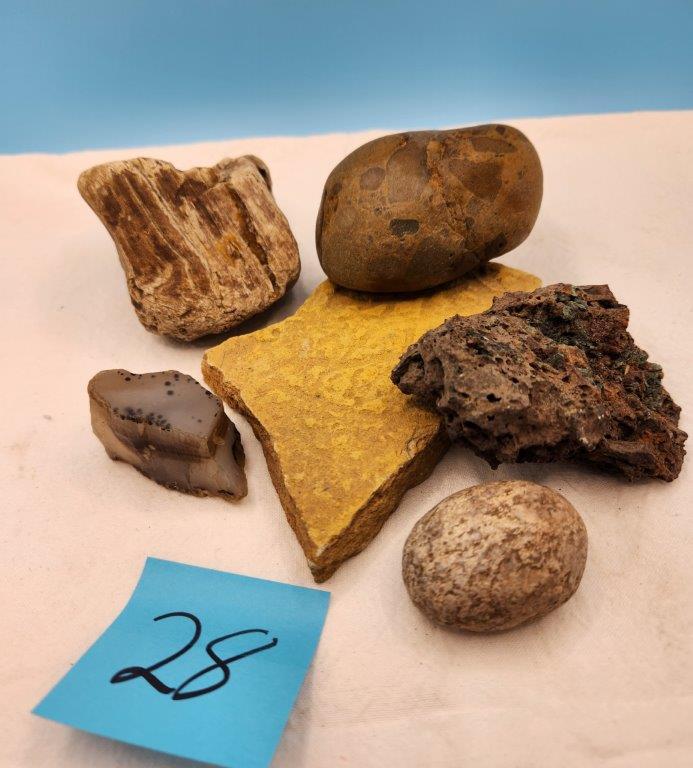 Rocks, Petrified Wood, Assortment