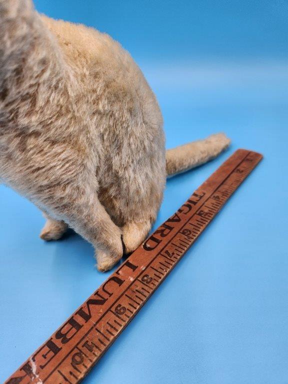 Antique Steiff Mohair Cat
