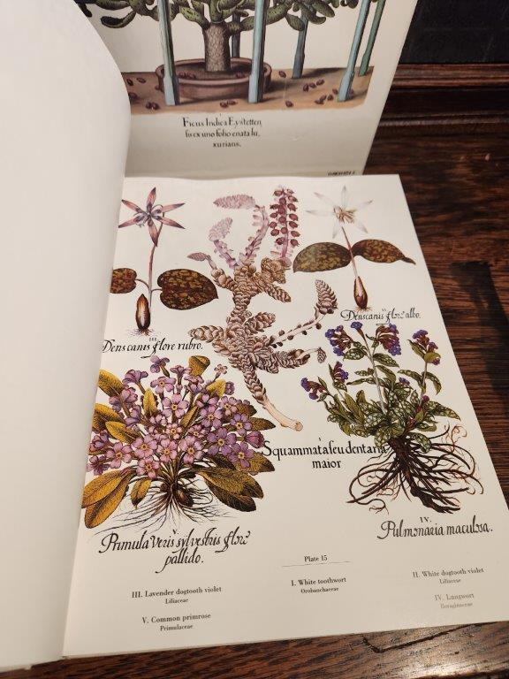 The Besler "Florilegium" Plants of the 4 Seasons