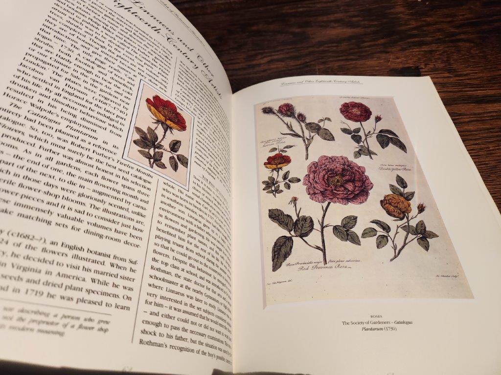 "Clutius Botanical Watercolors" of the Renaissance