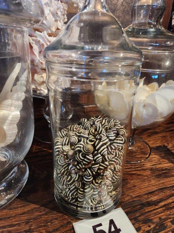 Four lovely Apothecary Jars full of Seashells