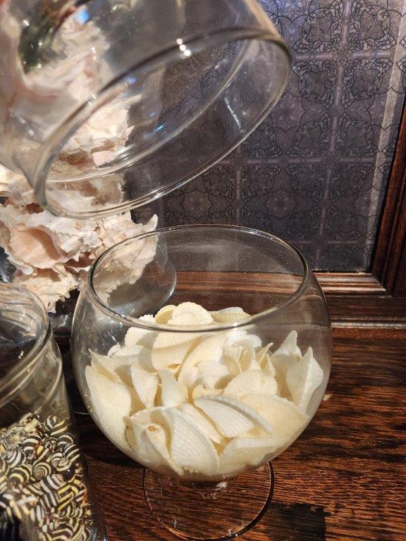 Four lovely Apothecary Jars full of Seashells