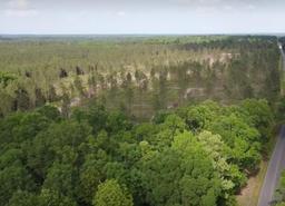 LOT 5: 185 Acres Sardis Westmiller Road, Bauxite AR