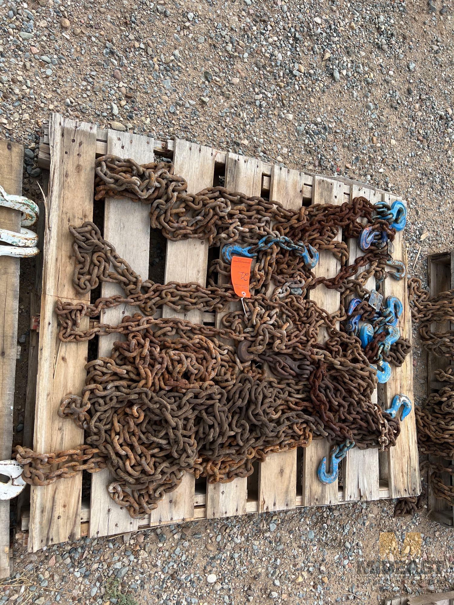 Skid Lot of Various Sized and Length Chains With Various Lifting and Slotted Hooks