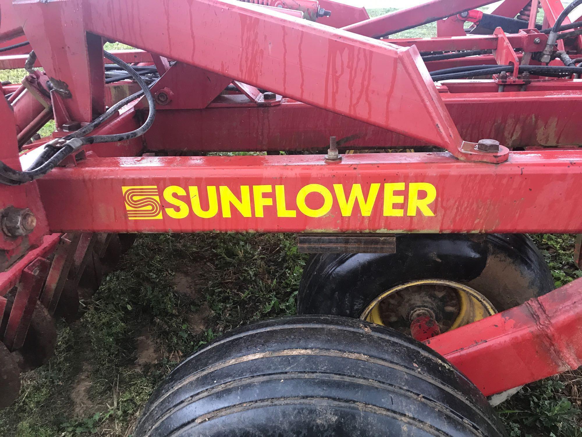 Sunflower C-Flex Chisel