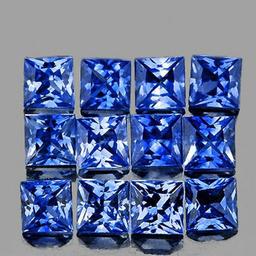 Natural Blue Sapphire 12 Pcs [Flawless-VVS]