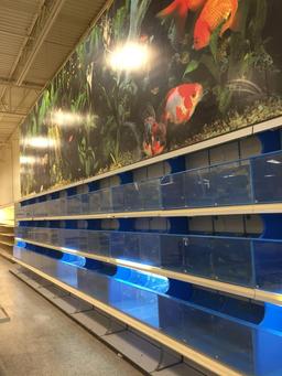 Fish Aquarium Line Up