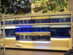 Aquarium Tank System ***does Not Include The Filtration System***