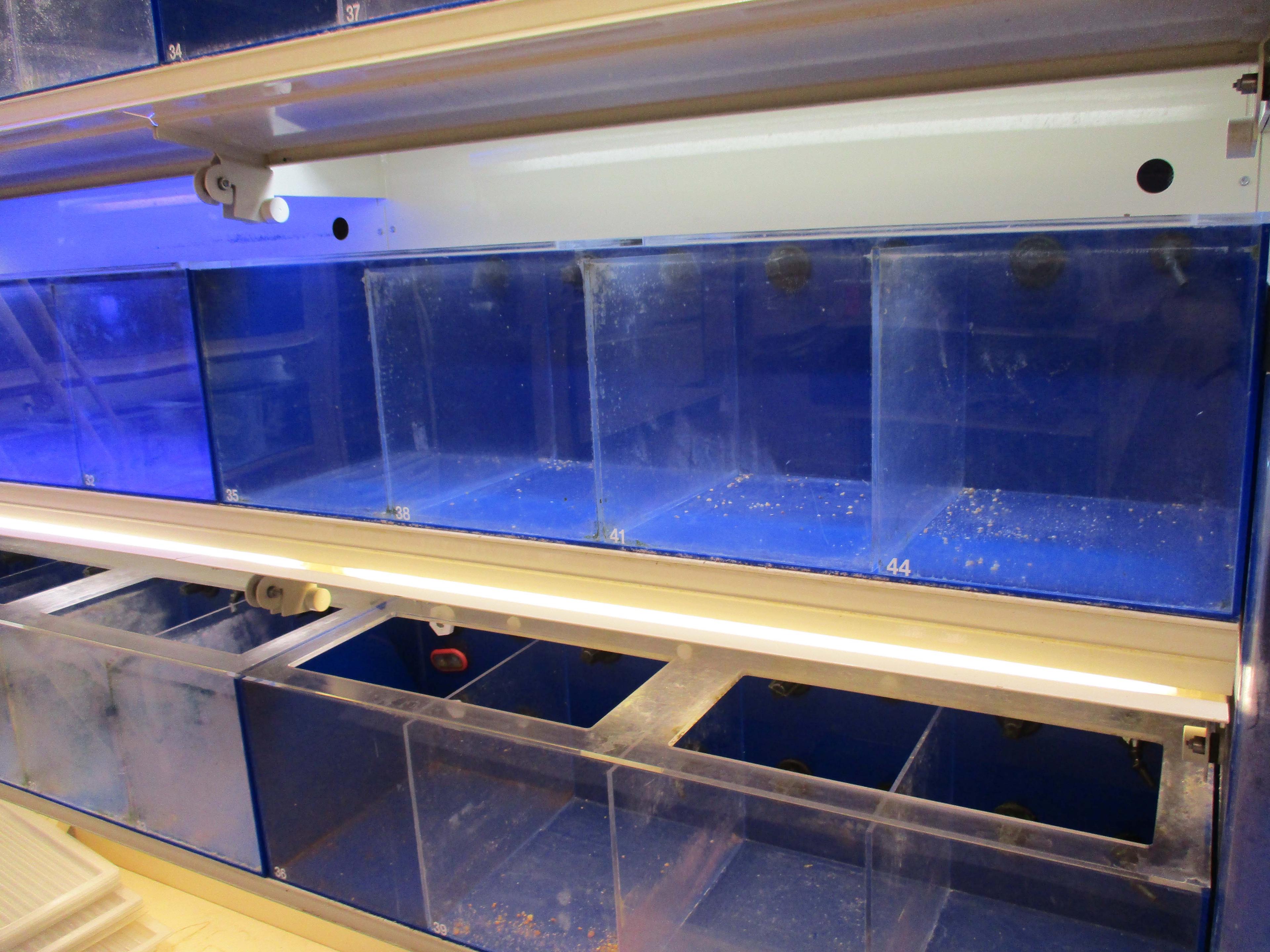 Aquarium Tank System ***does Not Include The Filtration System***