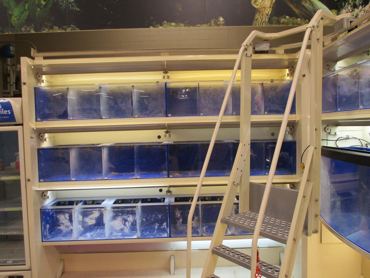 Aquarium Tank System ***does Not Include The Filtration System***