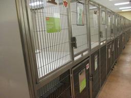 Multi - Cage Kennel