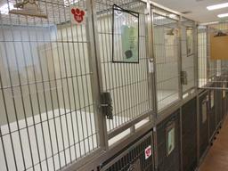 Multi - Cage Kennel