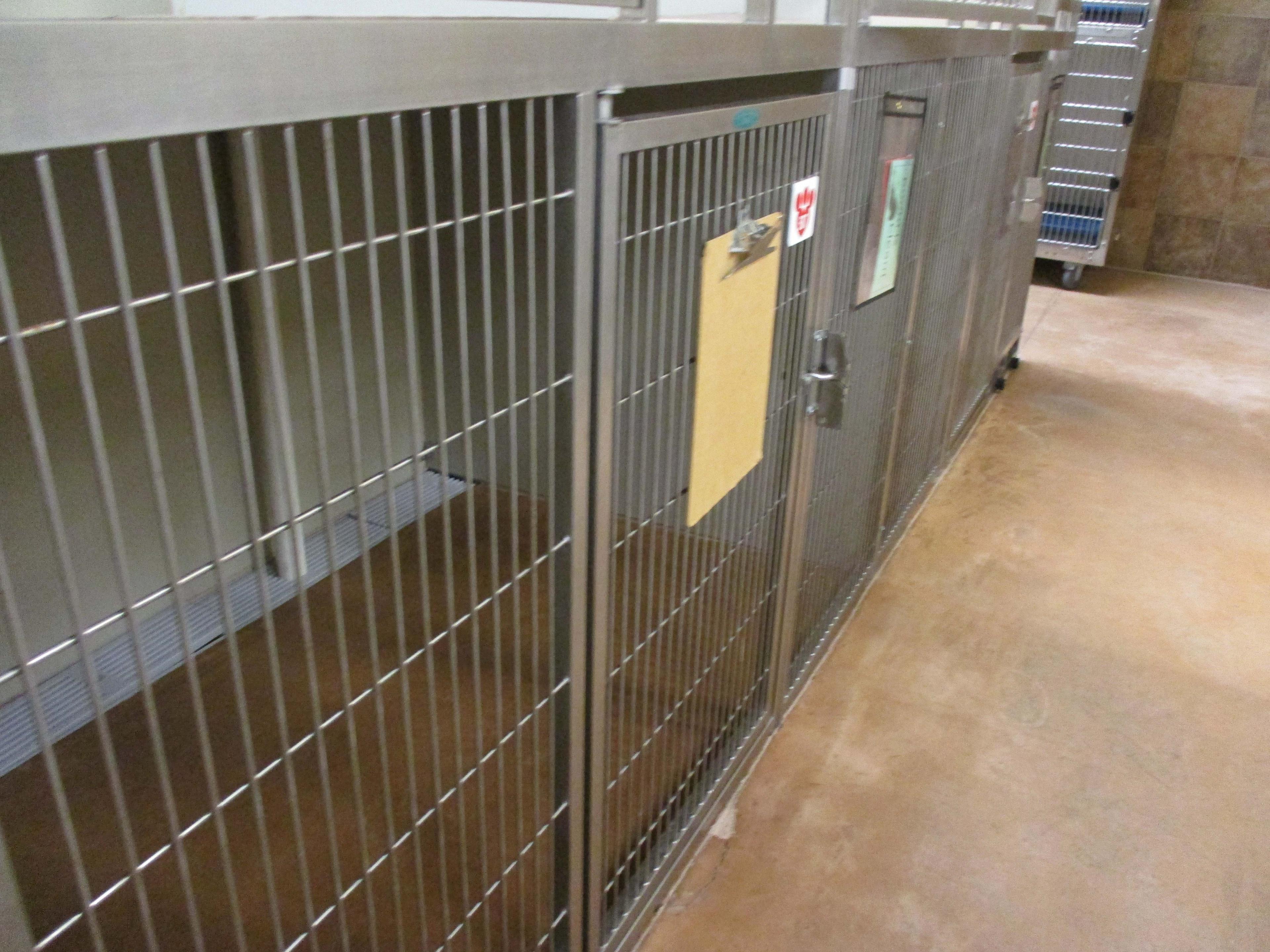 Multi - Cage Kennel