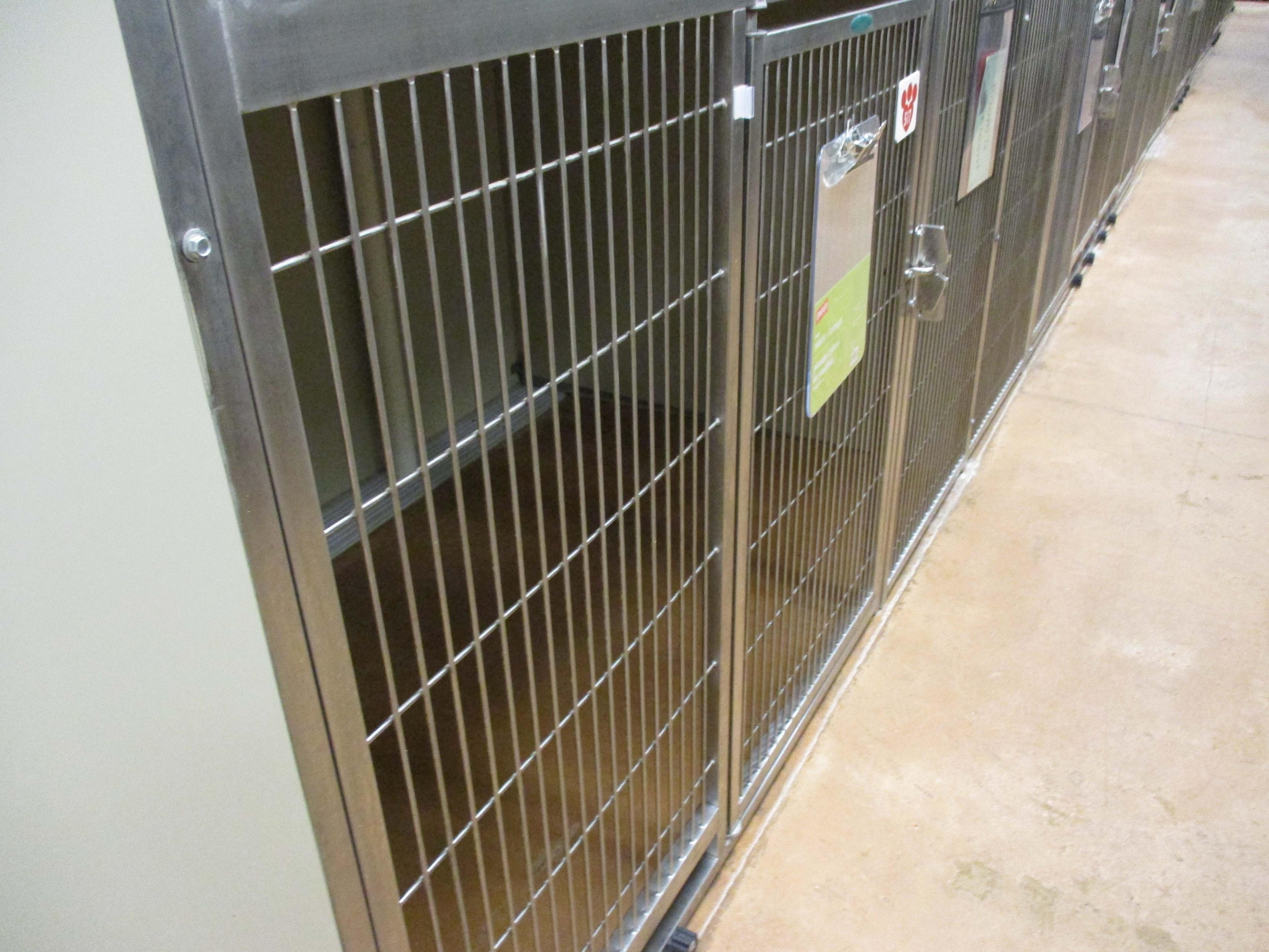 Multi - Cage Kennel