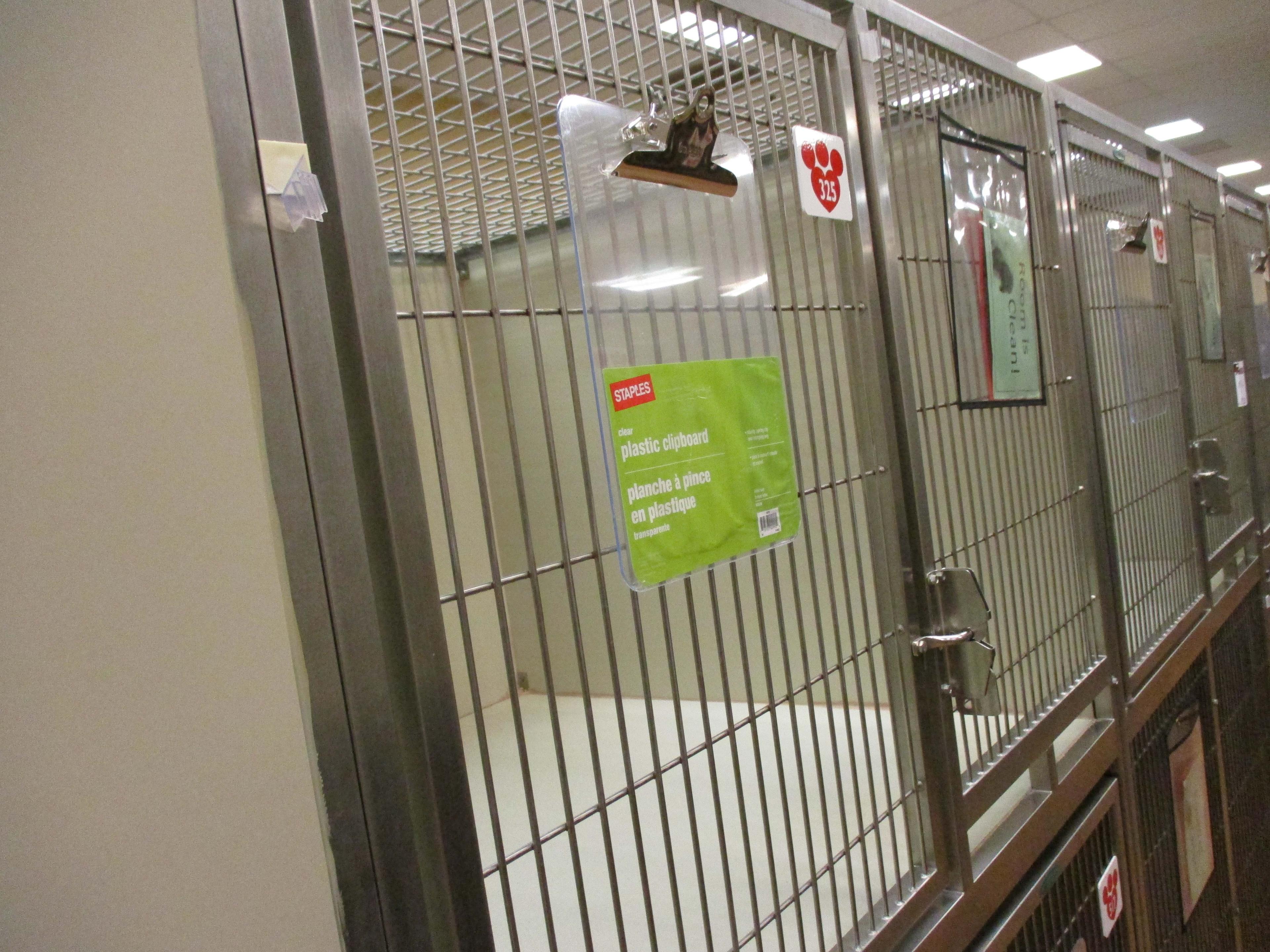 Multi - Cage Kennel