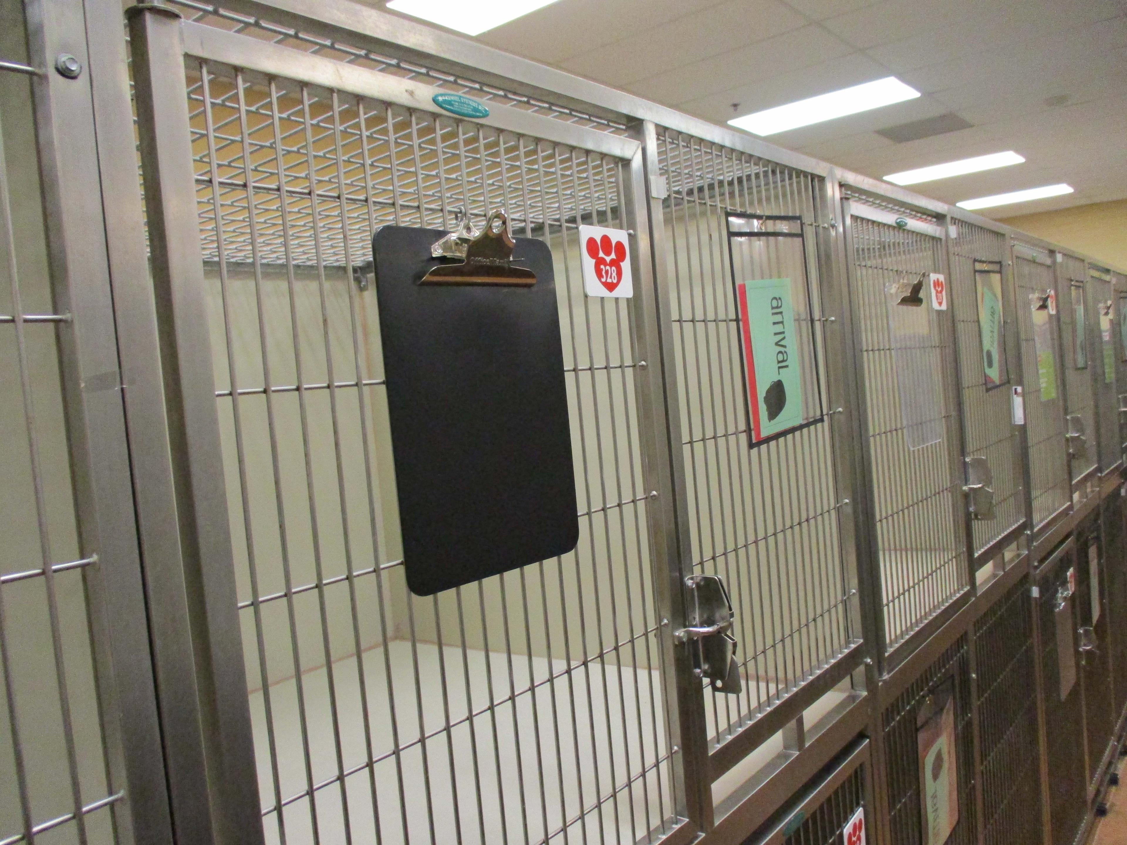 Multi - Cage Kennel