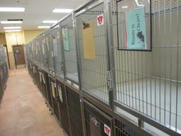 Multi - Cage Kennel