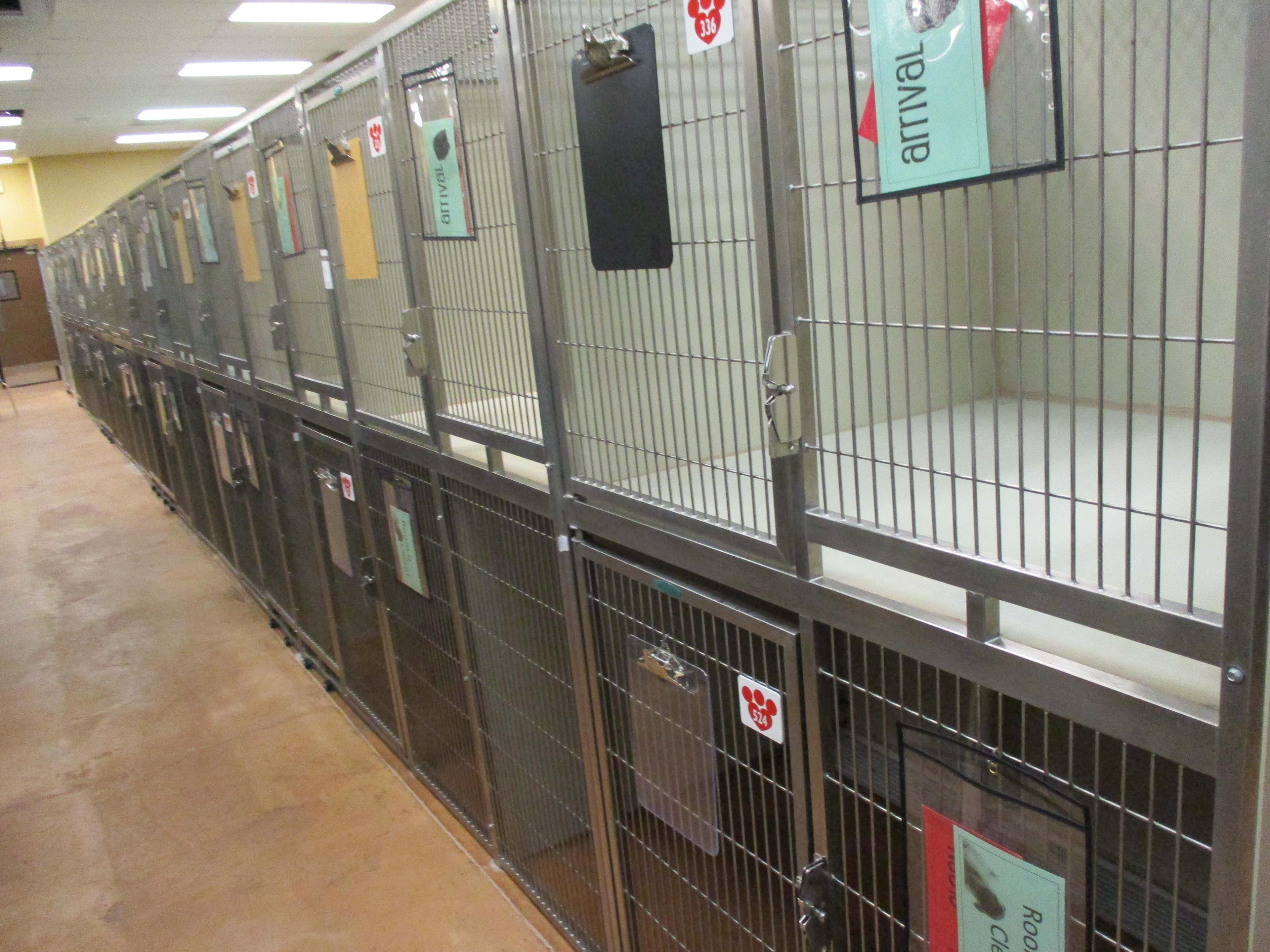 Multi - Cage Kennel