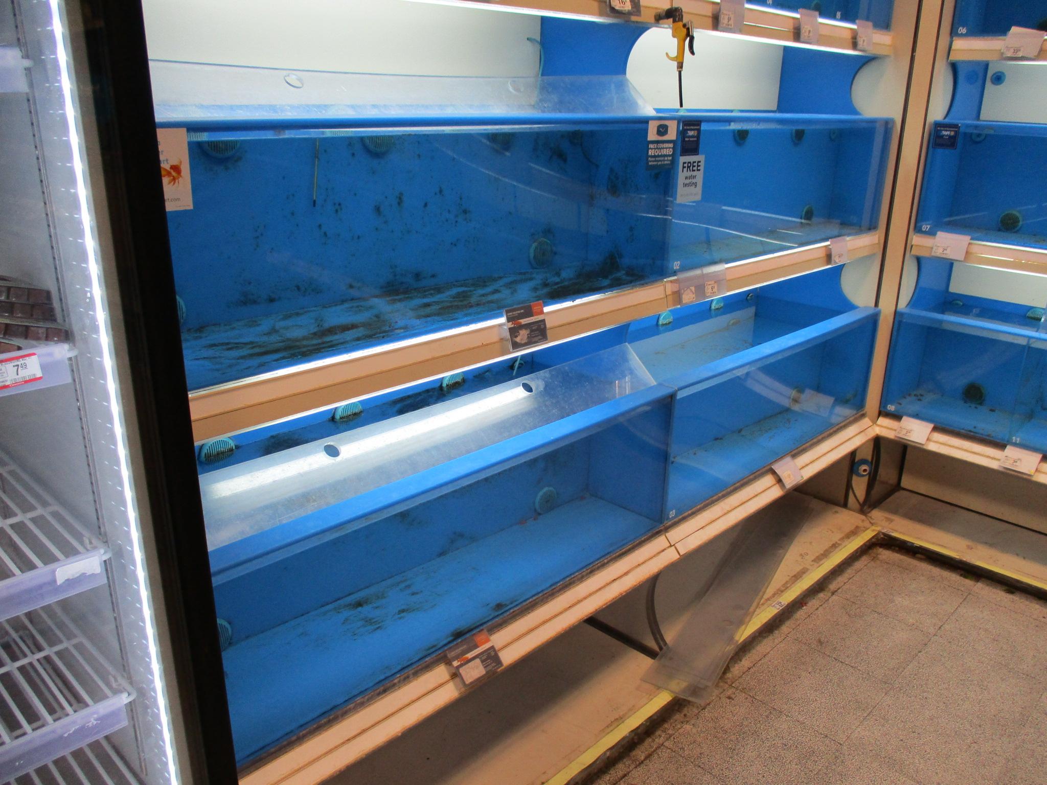 Full Aquarium Tank System  -  Does NOT Include Filtration System