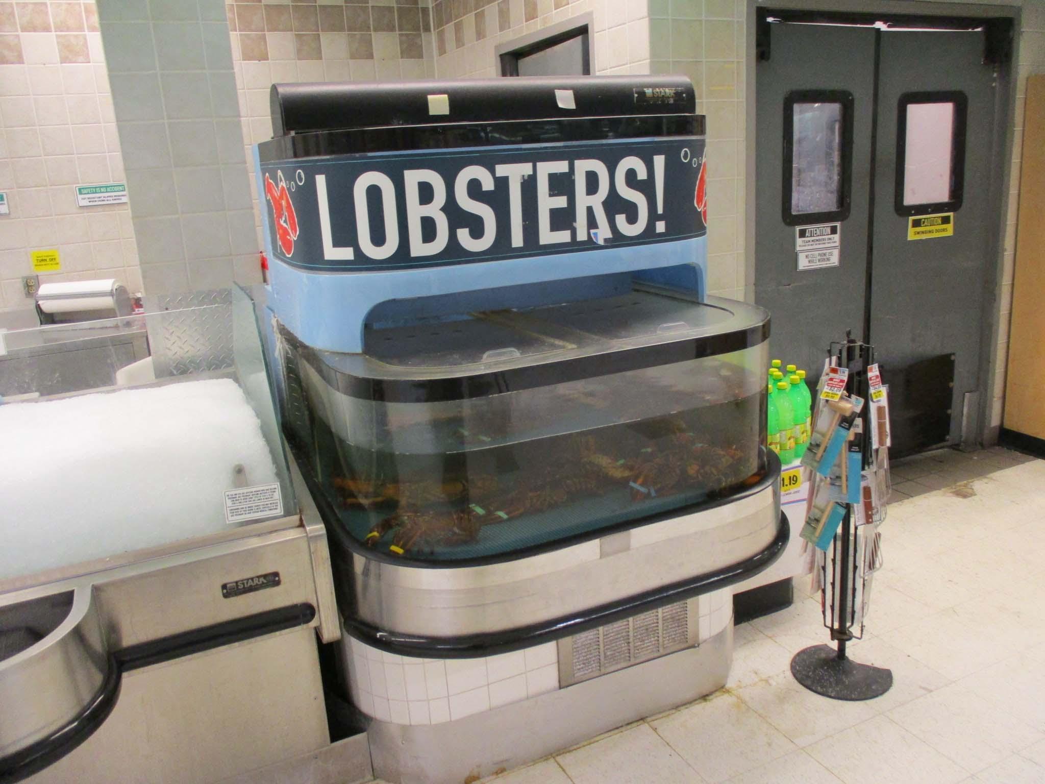 Stark Lobster Tank