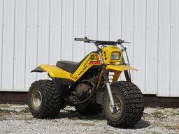 Yamaha DX225 3-wheeler