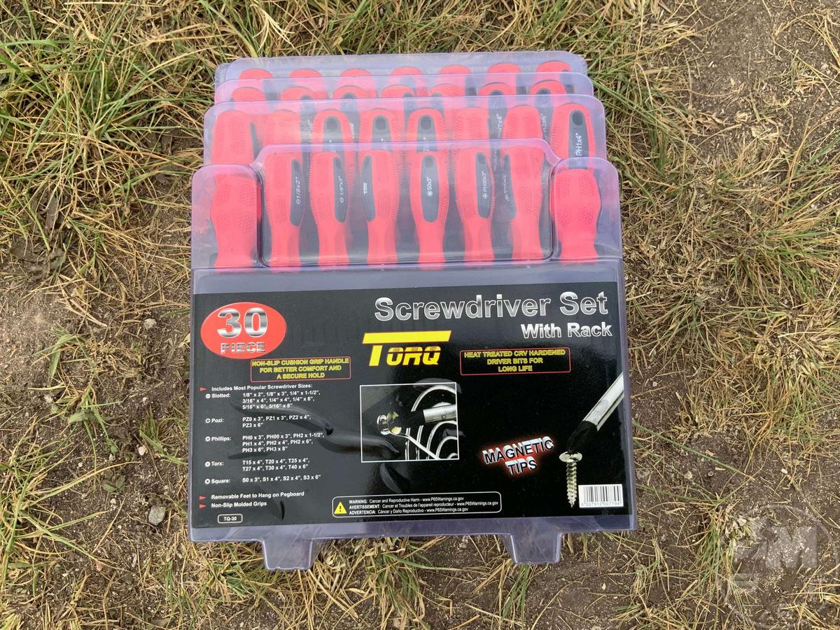 TORQ SCREW DRIVER SET