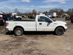 2013 FORD F-150 XL REGULAR CAB PICKUP VIN: 1FTNF1CF6DKD56117