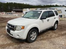 2010 FORD ESCAPE VIN: 1FMCU0D76AKD17131