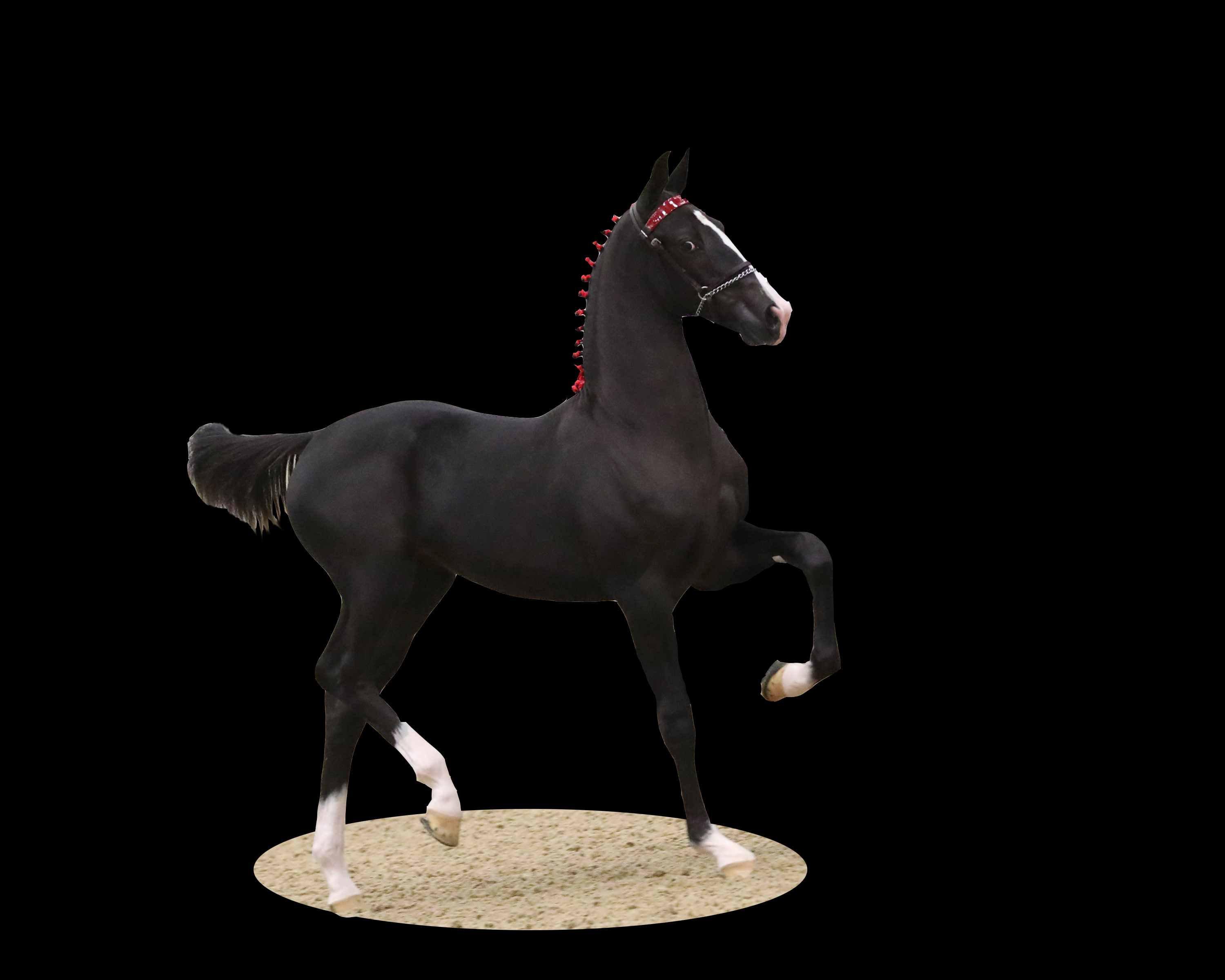 Horse Name:  Starlite's LouLijanna; Sired by: Baanbreker ; Dam by:  Volijan