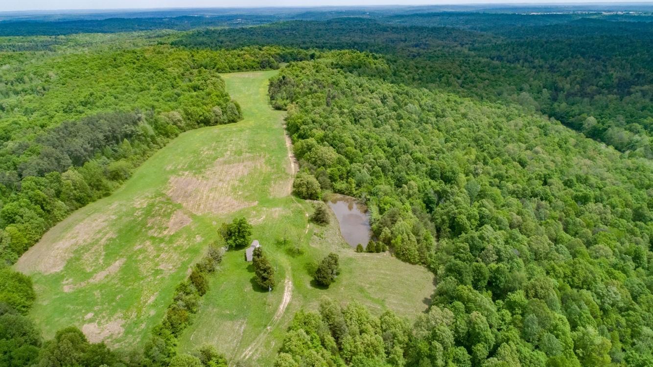 209 Acres Prime Timberland / Hunting Paradise