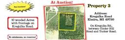 Property #3 10 Acres on Kregulka Road