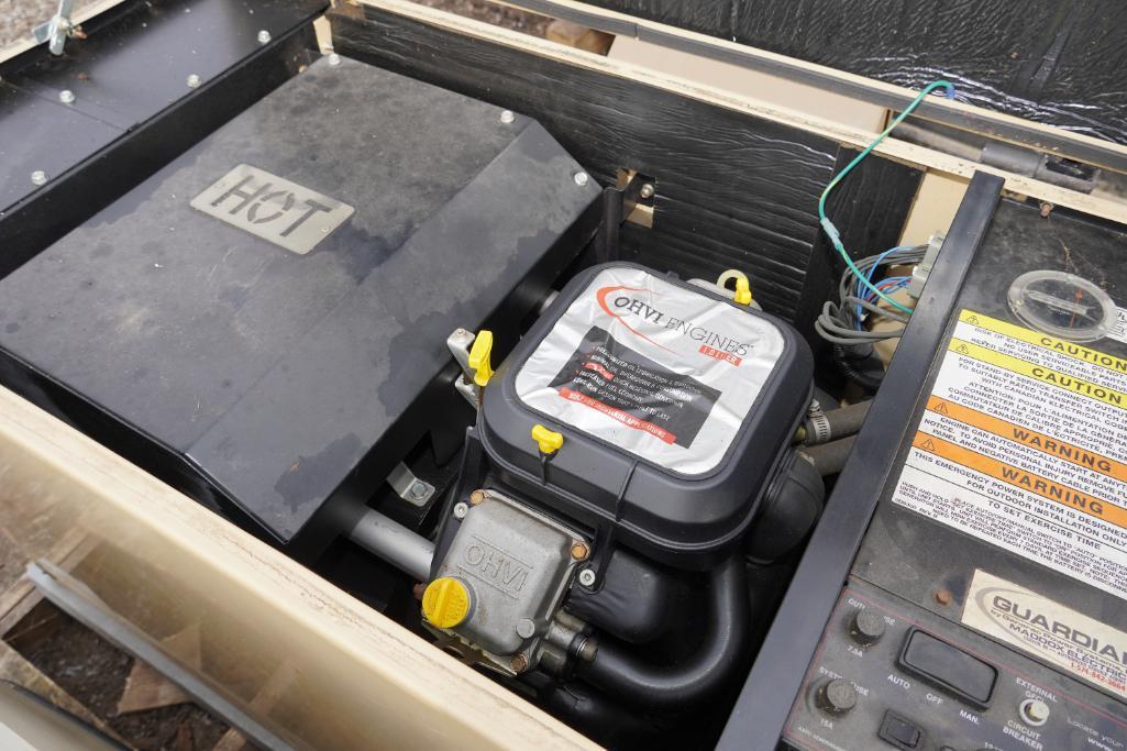 Generac Guardian Generator