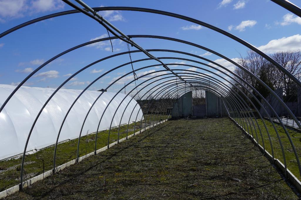 Green House