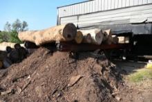 Mellott 2 Strand Log Deck with Stop'n'Load