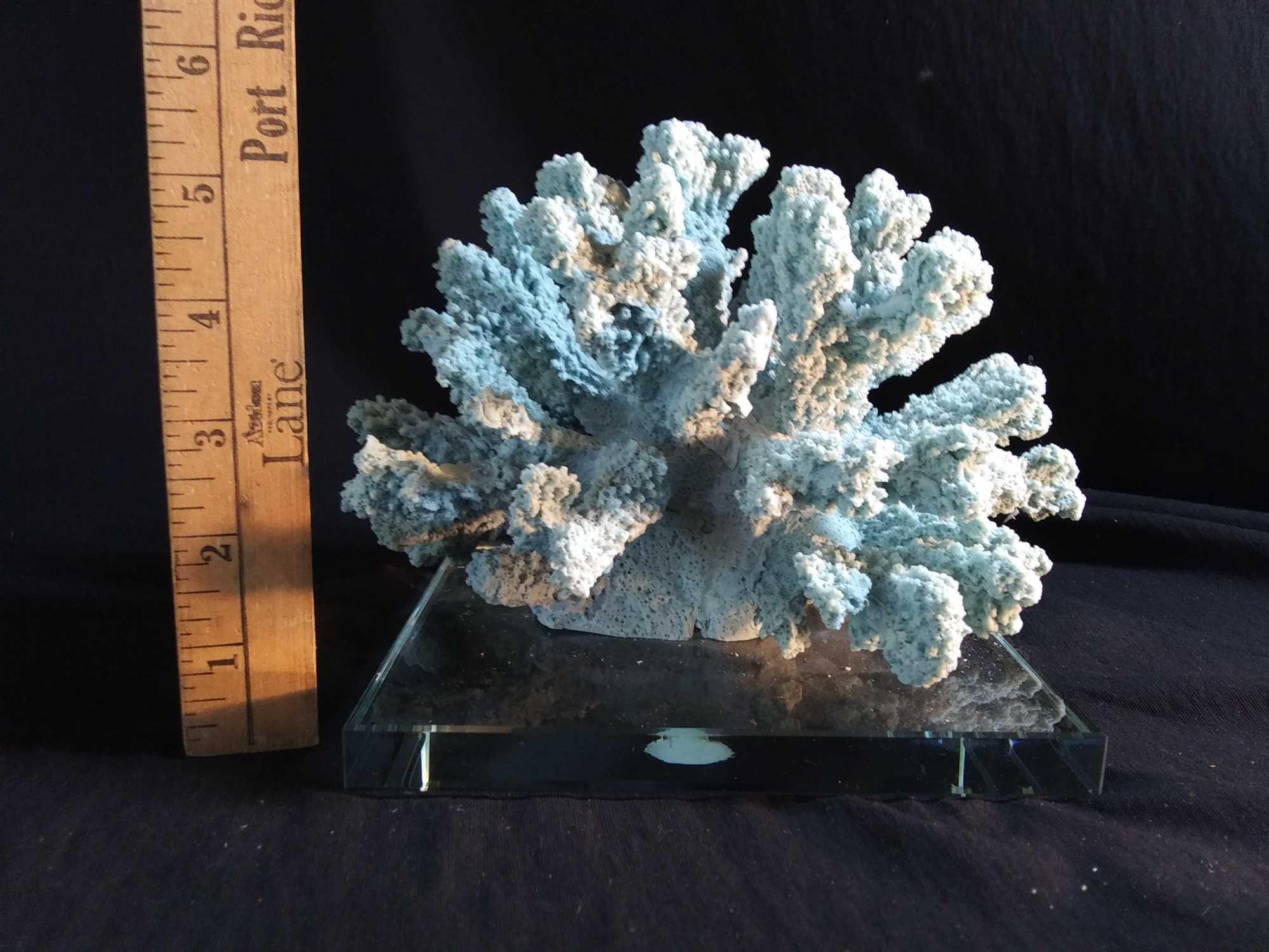 Pretty Tiffany Blue Coral Decor on Heavy Glass Base