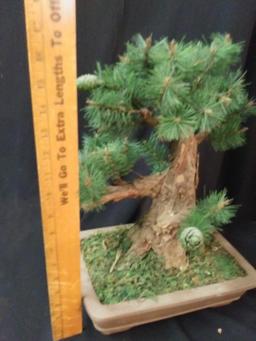 Simplistic artificial bonsai pine tree