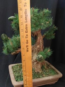Simplistic artificial bonsai pine tree