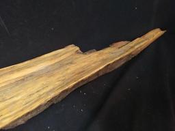 5 ft Long Preserved Cypress Driftwood Art