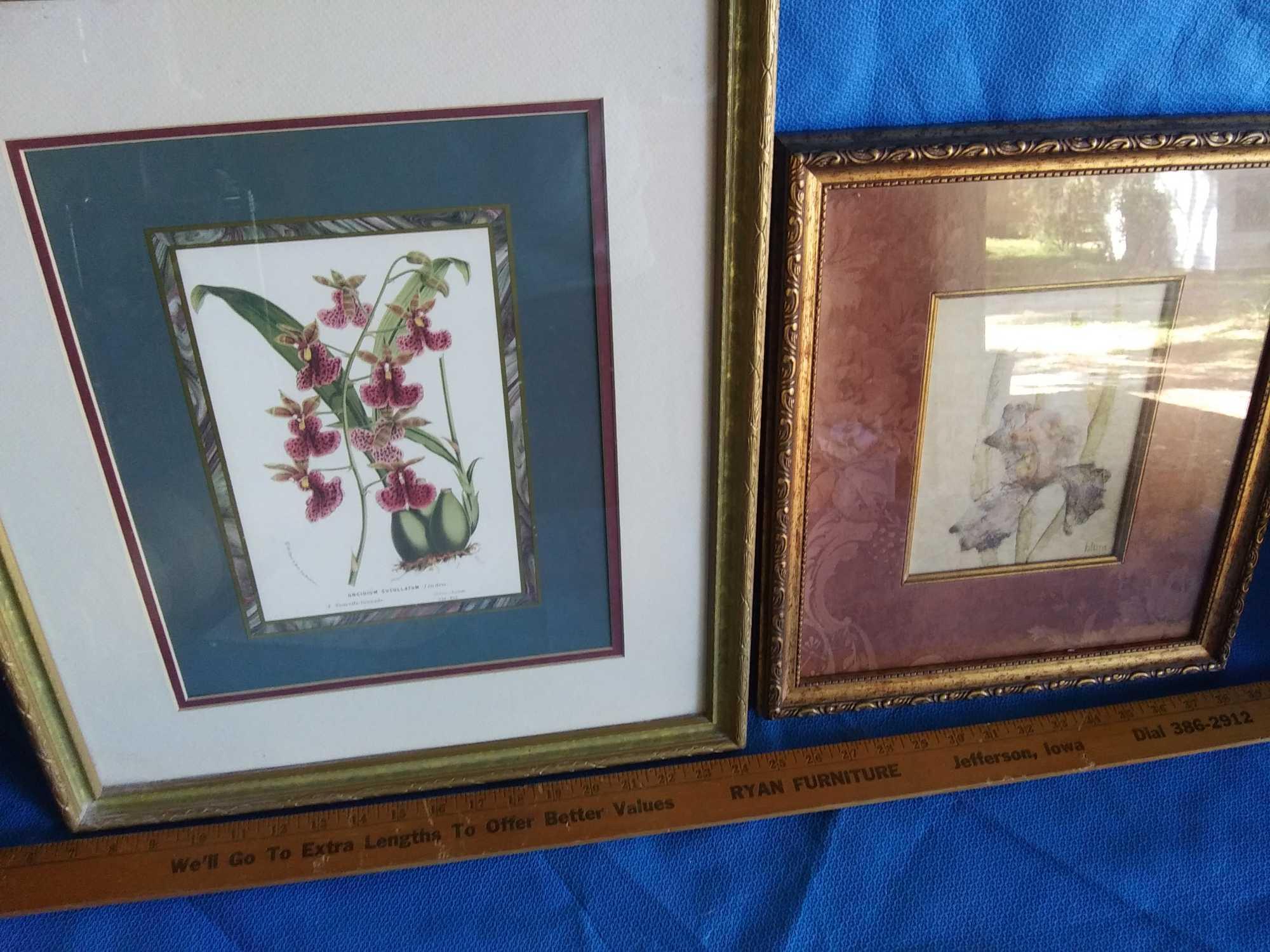 Pair of Botanical Framed and Matted Prints