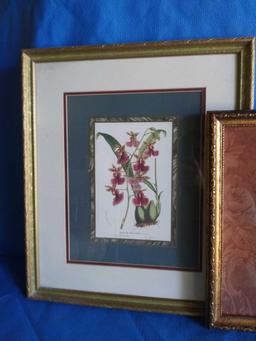 Pair of Botanical Framed and Matted Prints