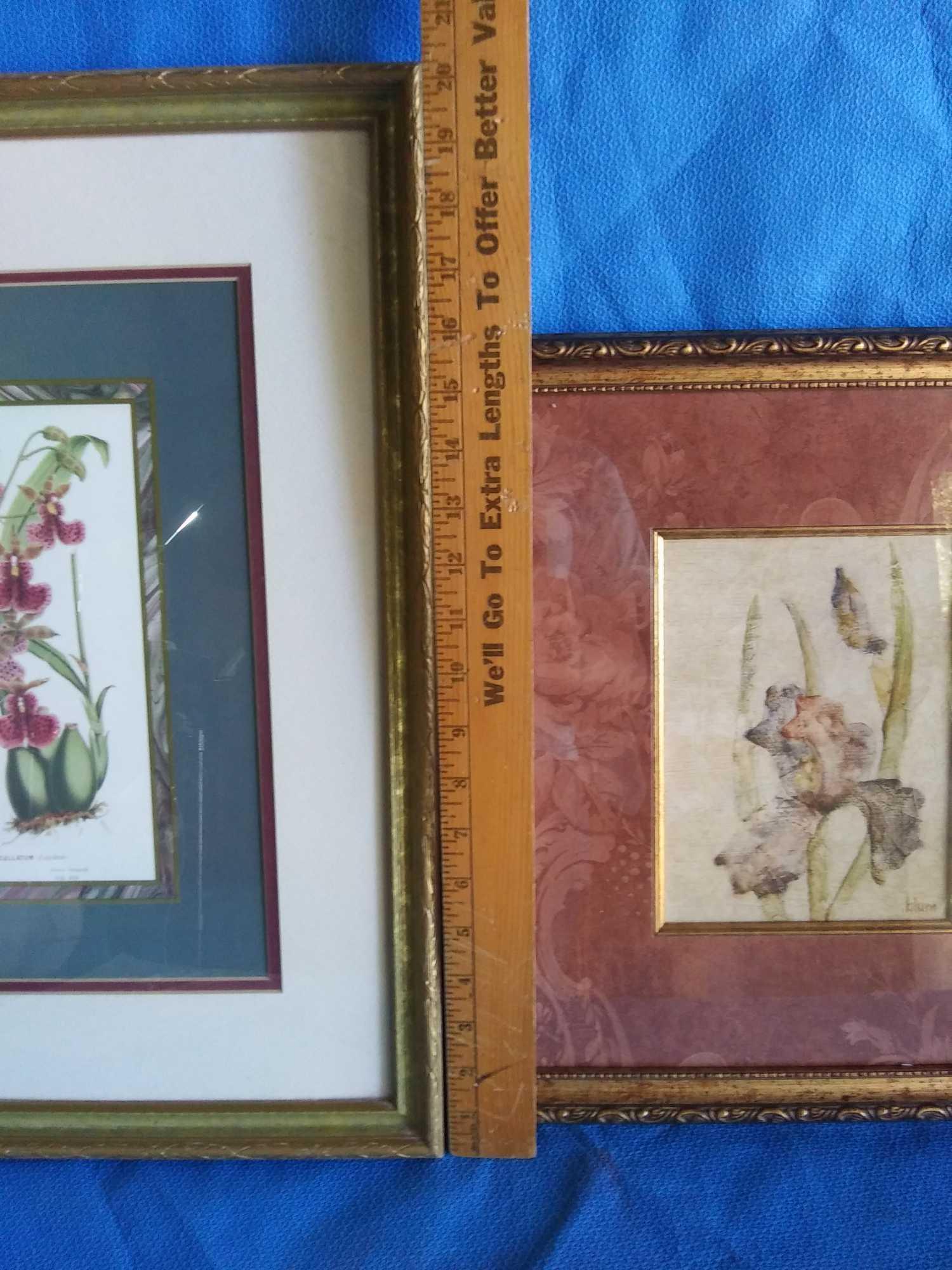 Pair of Botanical Framed and Matted Prints