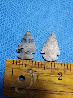 American Indian Artifact -Pair of arrowheads, points