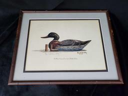 vintage The Mason Co. MALLARD DRAKE decoy Signed/numbered Print, Robert W. Hilty framed under glass