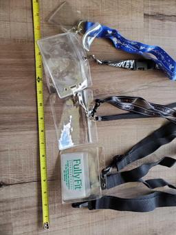 GROUP OF DISNEY AND GENERIC LANYARDS, CASTAWAY CLUB DISNEY CRUISE LINE