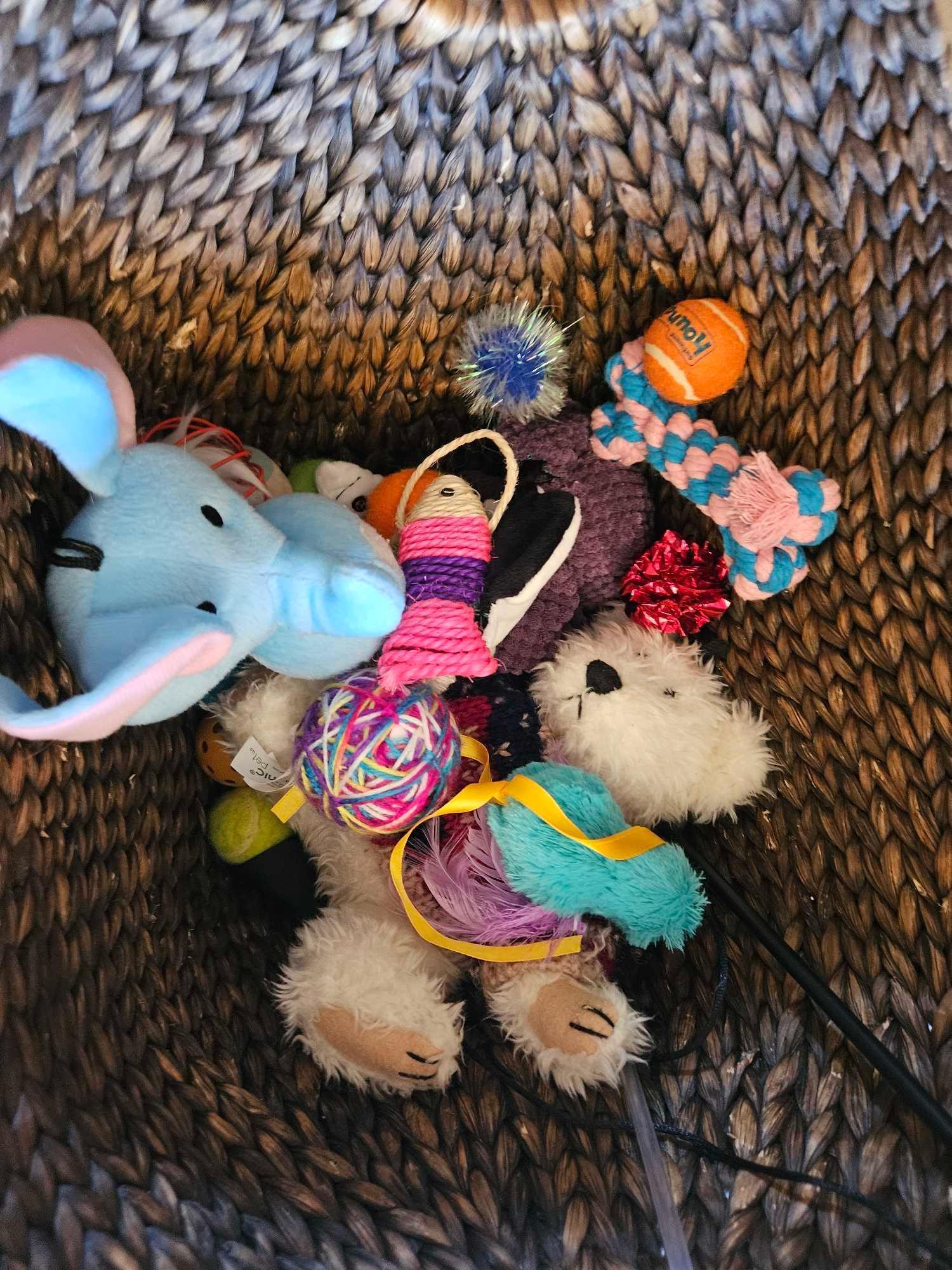 Your Furry Friend will LOVE THIS! Basket of Dog TOYS!