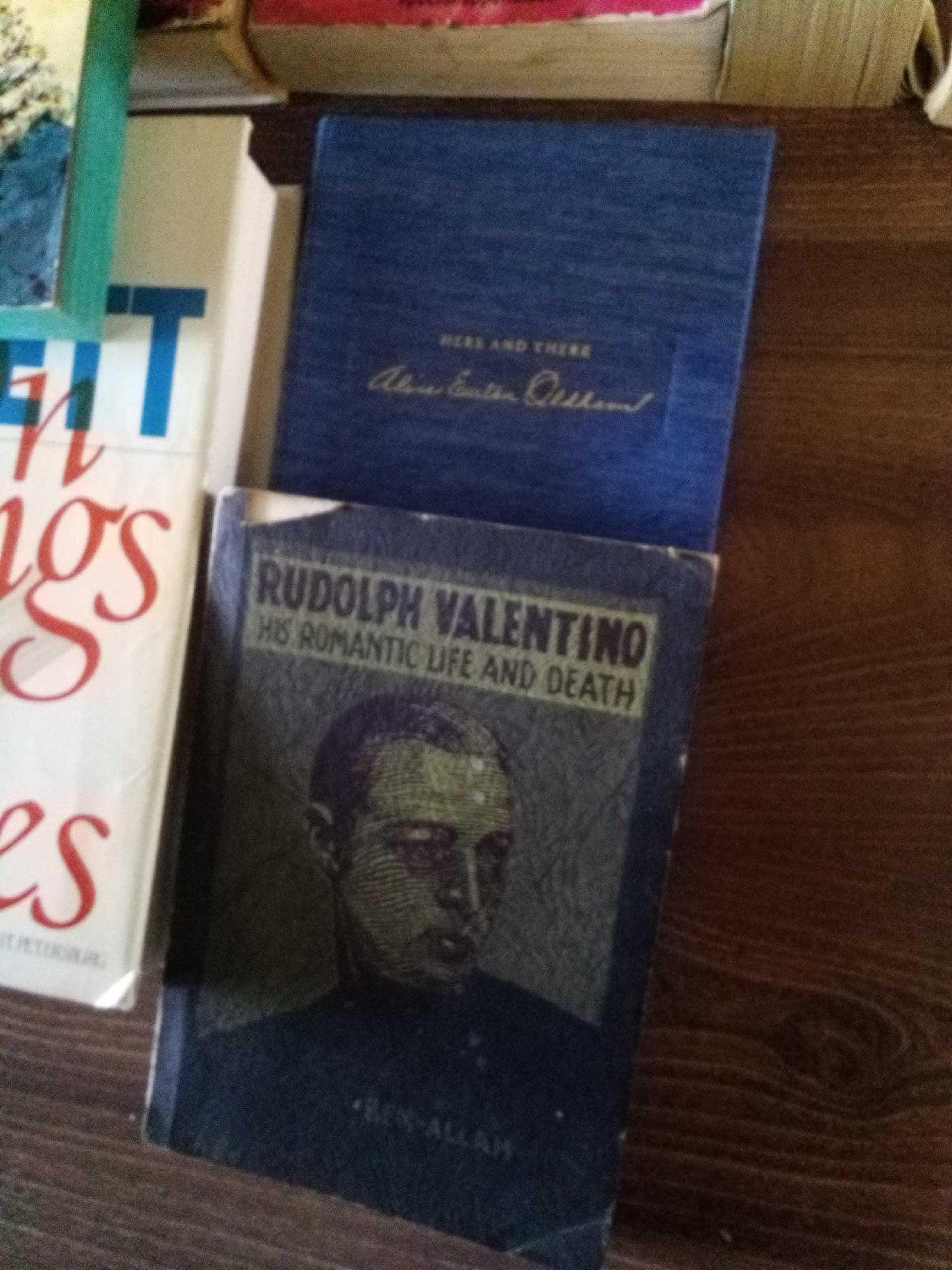 GROUP OF BOOKS INCLUDING FICTION CLASSICS LIKE VOLTAIRE AND DANTE WITH REFERENCE BOOKS LIKE SPANISH