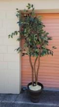 Artificial Ficus Tree