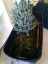 TOTE OF CHRISTMAS TREE GREENERY