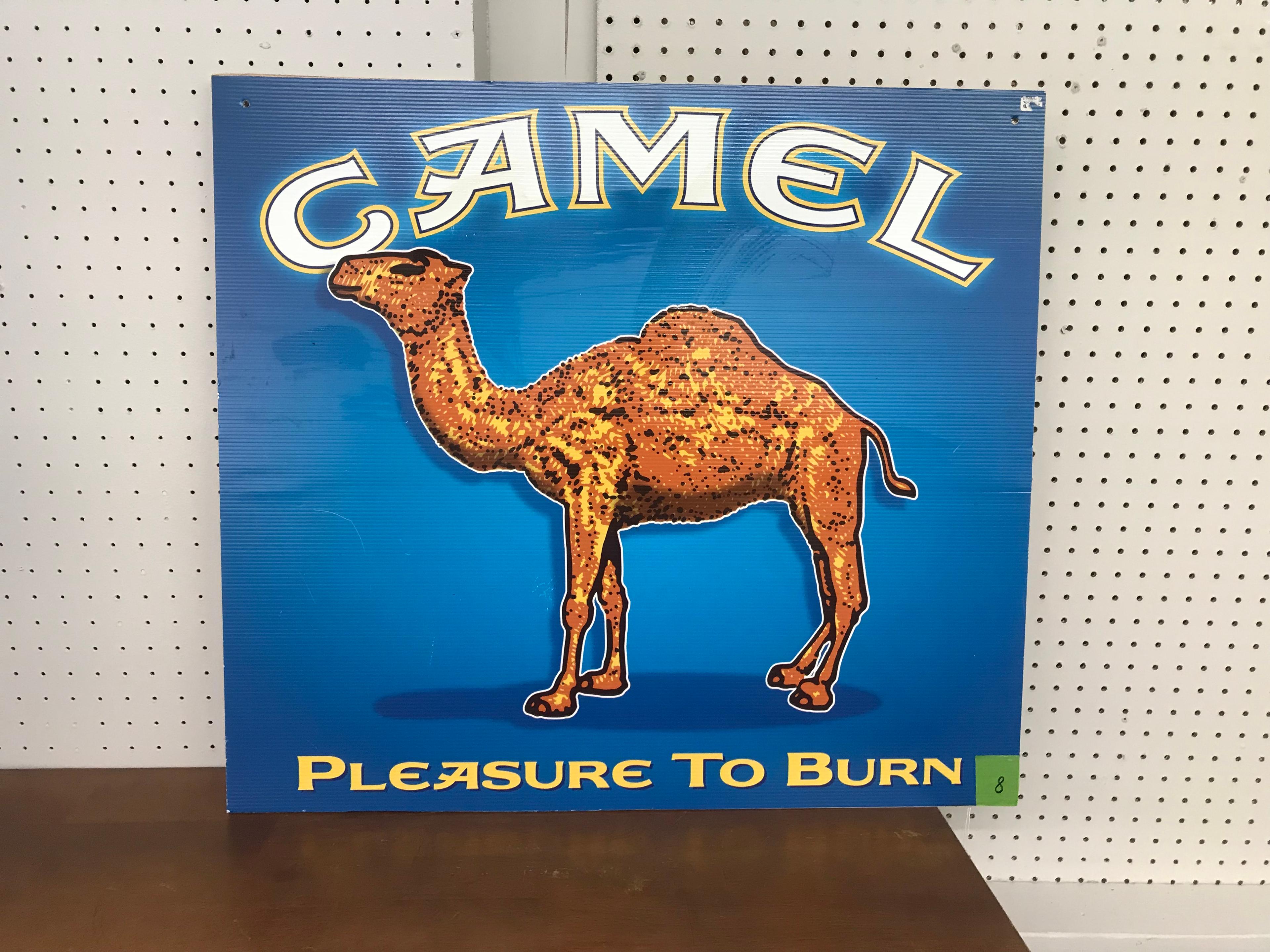 Camel