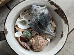 Agate Handled Pot and Seashells